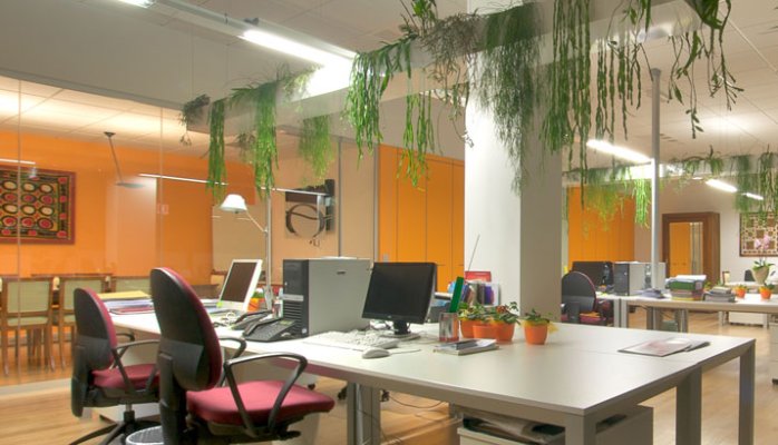 Sbottonare la competitività: le nuove scoperte delle scienze sociali per la comunicazione e la gestione strategica&nbsp;d’impresa.