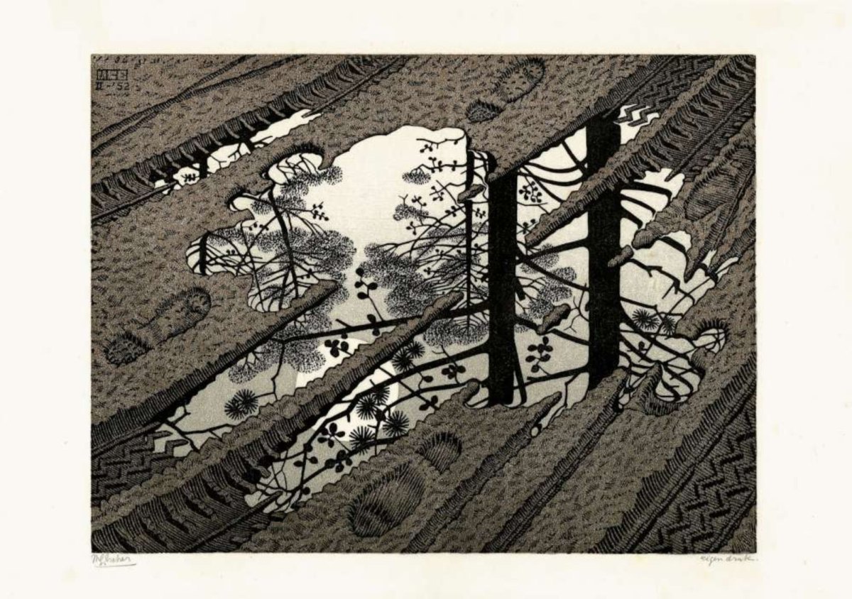 Lo sceicco chiese al&nbsp;servo