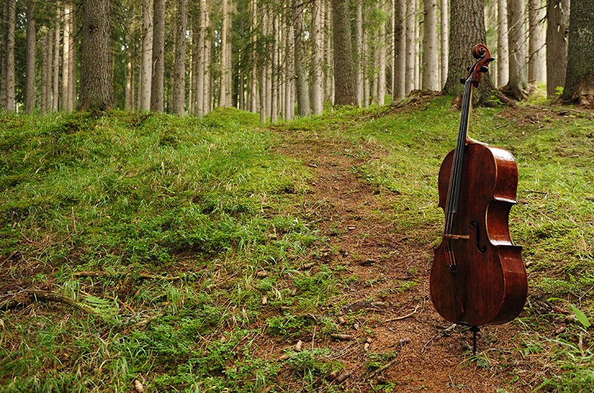 Parole vuote: “Competere”​